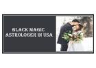 Black Magic Astrologer in Virginia
