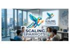 Blockchain Token Economy Services - Scaling Parrots
