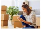 Household Storage Hamilton