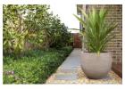 Landscaping in Sydney