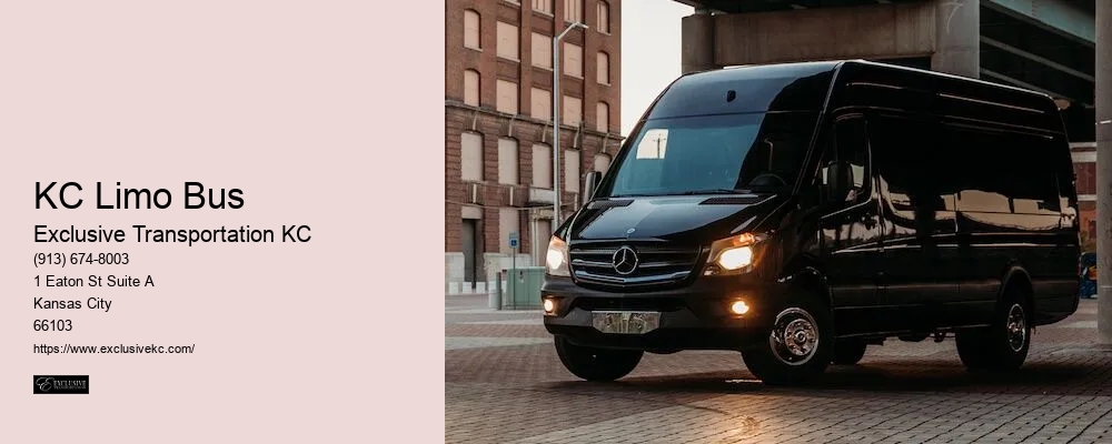 Executive Limousines