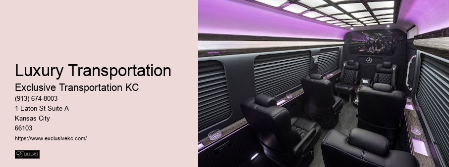 Chauffeured Limo Service