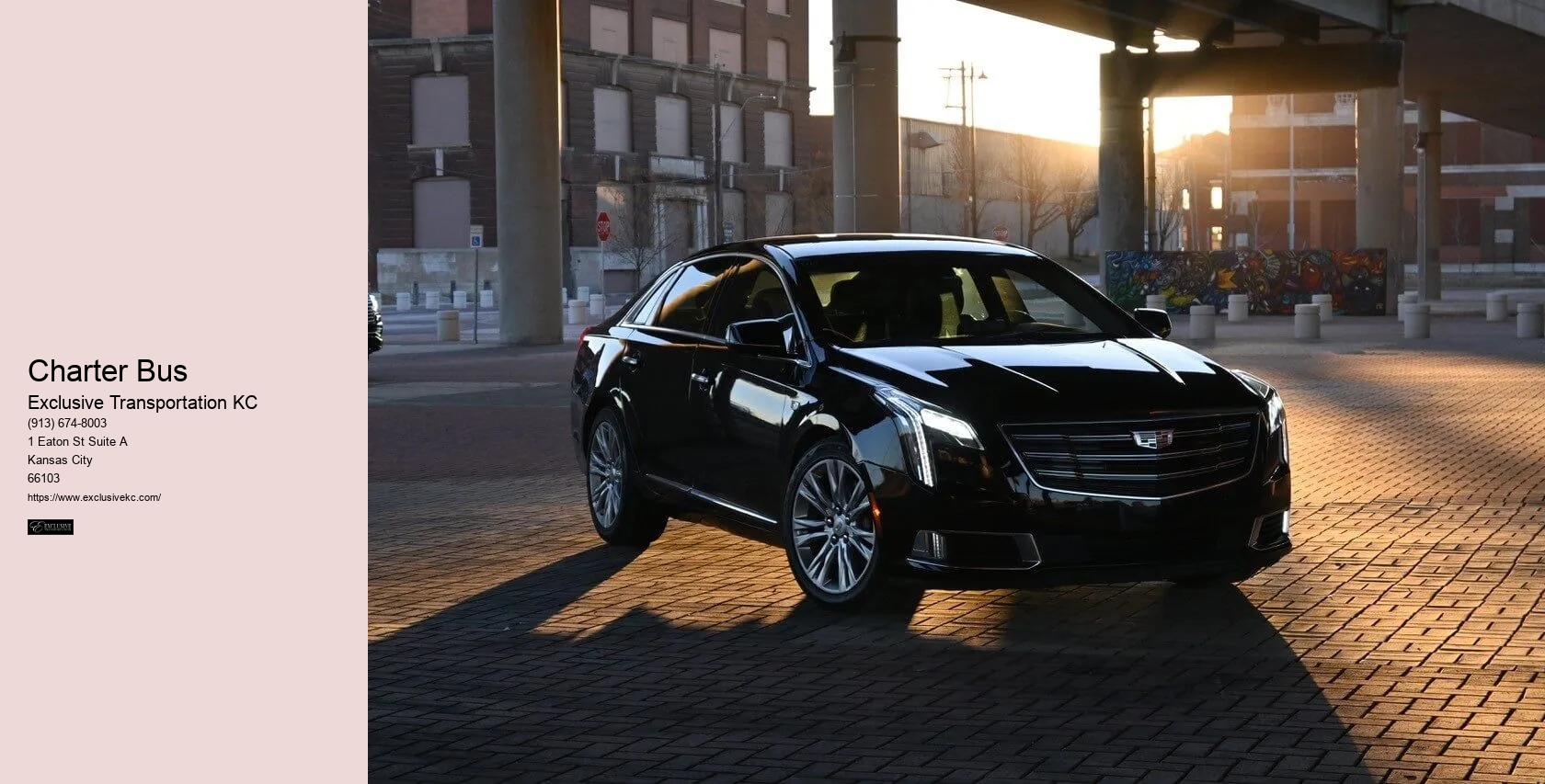 Luxury Limo