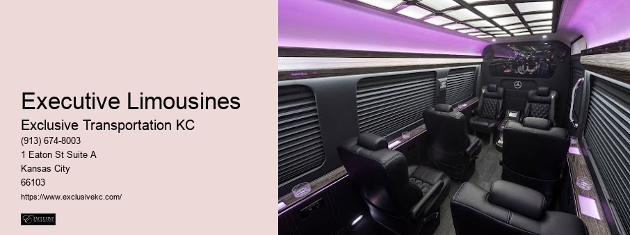 Be Exclusive Transportation