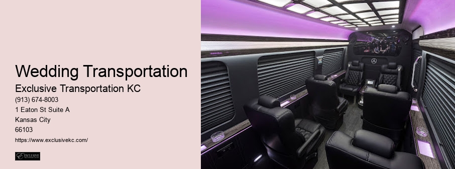 Limousine Service