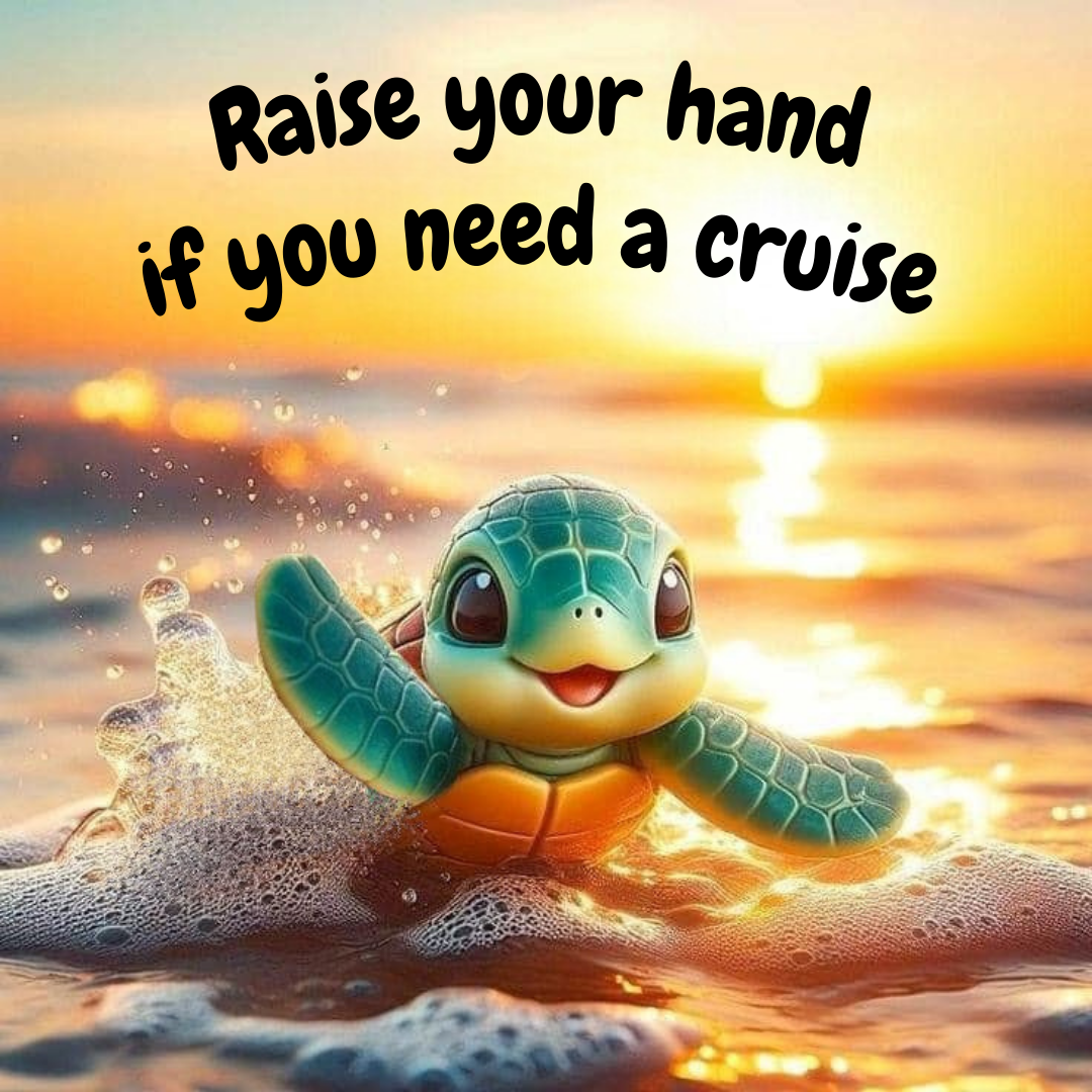 Do you Need a Cruise?