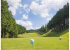 Golf Puzzles