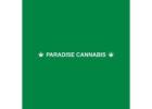 Weed Store St. Catharines - Paradise Cannabis