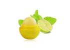 Branding with Custom Lip Balm in Bulk