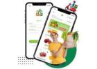 Choose Reliable Grocery App Development Company in India