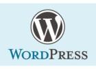 Choose the Best WordPress Development Company in India for Custom CMS Sites