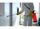 Reliable Pest Control Services in North Brisbane – Book Today!