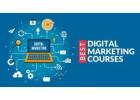 Best Digital Marketing Training in Noida with Placement