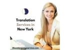 Professional Translation Services in New York for All Needs