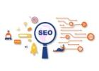 Looking for SEO Services Backed by Data?