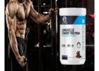 Evolution of Muscle Building Protein Powder