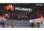Lazulite’s Rotating Tube Visuals Elevate Saudi Arabia Events
