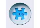 Mold Consultant Group