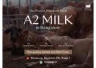 best a2 cow milk in Bangalore