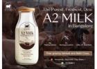 pure cow milk near me