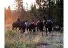 Horseback Trail Rides