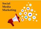 Career-Ready Skills via Internship Social Media Marketing