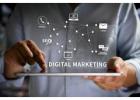 SEO or Google Ads? Choosing the Right Marketing Channel for Your Startup
