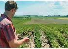 Boost Crop Health with AI – Computer Vision for Early Plant Disease Detection