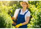 Pest Control Service in Fort Worth Dallas, TX