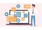 Reliable Custom WordPress Development Services