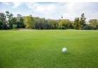 Durable Artificial Golf Turf in India – Order Today