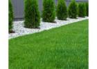 Best Artificial Grass Perth Available Now
