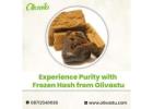 Experience Purity with Frozen Hash from Olivastu