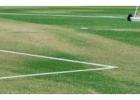 Upgrade Your Cricket Ground with OSMS Turf | Call Now