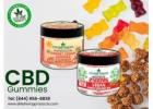 Stay Zen & Zingy with Power CBD Gummies