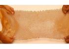 Protect Your Products with Paper Wrap| EcoCushion Paper