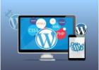 Professional WordPress Web Development Dubai Services