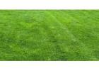 DreamLawn offering the best lawn care in Overland Park, Kansas
