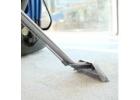 Carpet Cleaning You Can Count On – Brisbane Northside