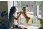 Busy Pet Parent Offers Pet Care for Busy People with Smart Tips and Space-Saving Products