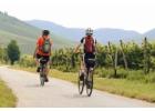 E Bike Rental