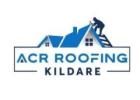 Flat Roof Repairs Kildare