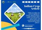 Indian Crop Article – Share Knowledge, Inspire Innovation in Agriculture