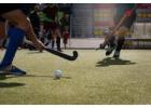 Buy High-Quality Artificial Hockey Turf -  Play Like a Pro