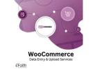 WooCommerce Product Data Entry Services That Perform