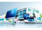 Are You Looking For A Professional Web Design Agency?
