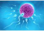 Best IVF Clinic in Hyderabad with High Success Rates