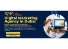 Top Digital Marketing Agency in Dubai | Web Glaze