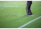 Leading Cricket Turf Manufacturer – Get Premium Turf Today