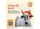 Nourish a Life with an Online Donation for Gaushala